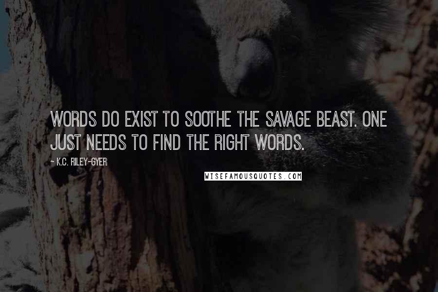 K.C. Riley-Gyer Quotes: Words do exist to soothe the savage beast. One just needs to find the right words.