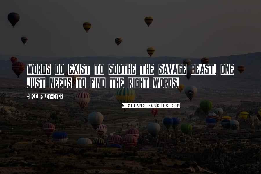 K.C. Riley-Gyer Quotes: Words do exist to soothe the savage beast. One just needs to find the right words.