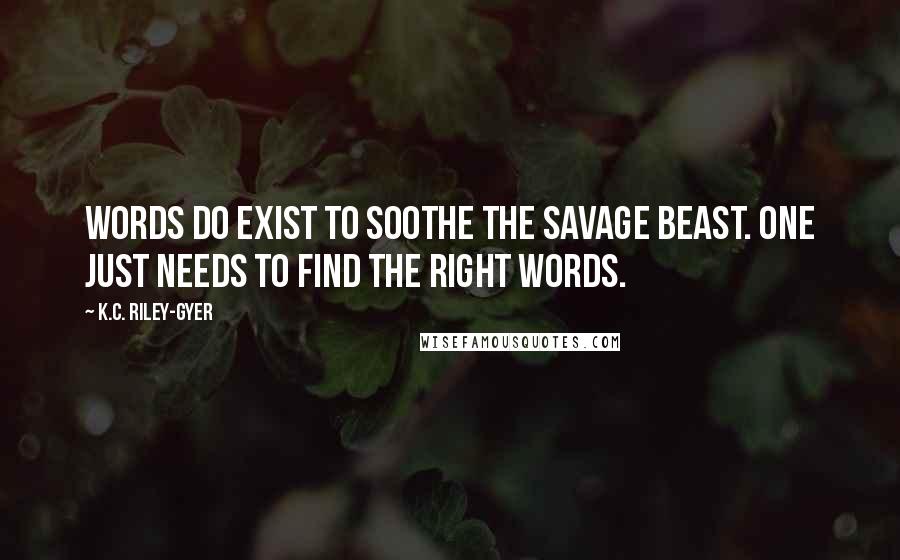 K.C. Riley-Gyer Quotes: Words do exist to soothe the savage beast. One just needs to find the right words.