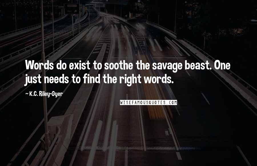 K.C. Riley-Gyer Quotes: Words do exist to soothe the savage beast. One just needs to find the right words.