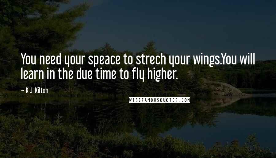 K.J. Kilton Quotes: You need your speace to strech your wings.You will learn in the due time to fly higher.