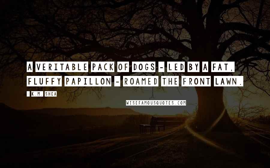 K.M. Shea Quotes: A veritable pack of dogs - led by a fat, fluffy papillon - roamed the front lawn.