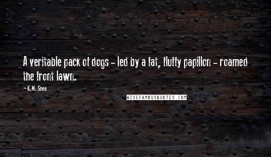 K.M. Shea Quotes: A veritable pack of dogs - led by a fat, fluffy papillon - roamed the front lawn.