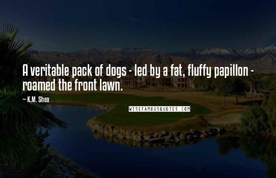 K.M. Shea Quotes: A veritable pack of dogs - led by a fat, fluffy papillon - roamed the front lawn.