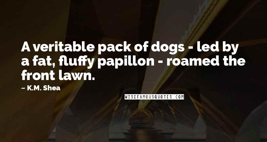 K.M. Shea Quotes: A veritable pack of dogs - led by a fat, fluffy papillon - roamed the front lawn.