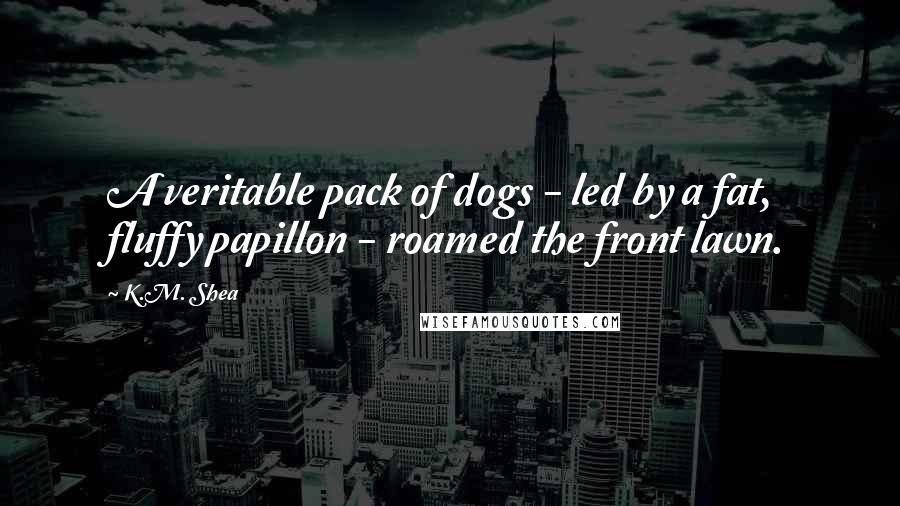 K.M. Shea Quotes: A veritable pack of dogs - led by a fat, fluffy papillon - roamed the front lawn.