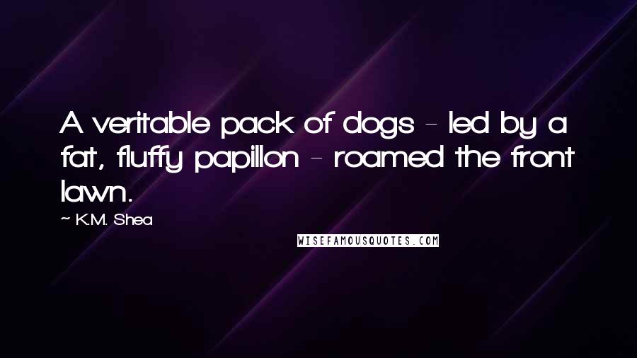 K.M. Shea Quotes: A veritable pack of dogs - led by a fat, fluffy papillon - roamed the front lawn.