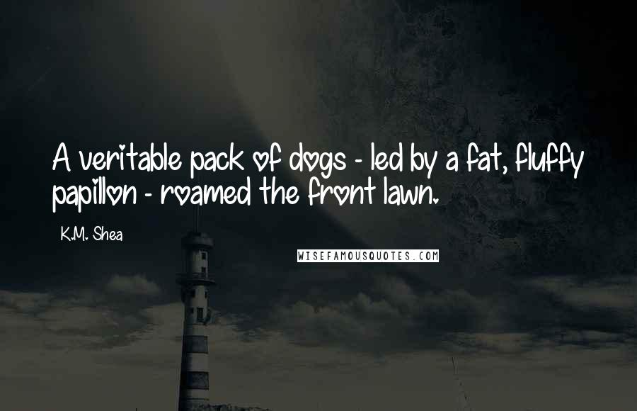 K.M. Shea Quotes: A veritable pack of dogs - led by a fat, fluffy papillon - roamed the front lawn.