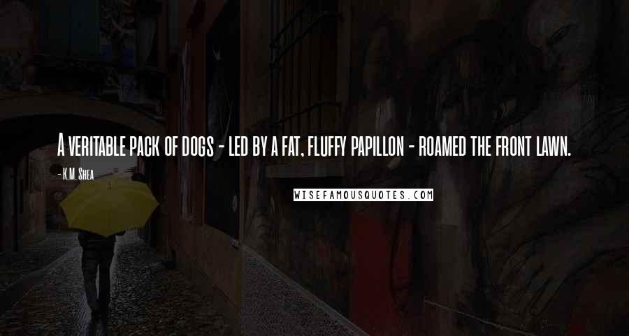 K.M. Shea Quotes: A veritable pack of dogs - led by a fat, fluffy papillon - roamed the front lawn.