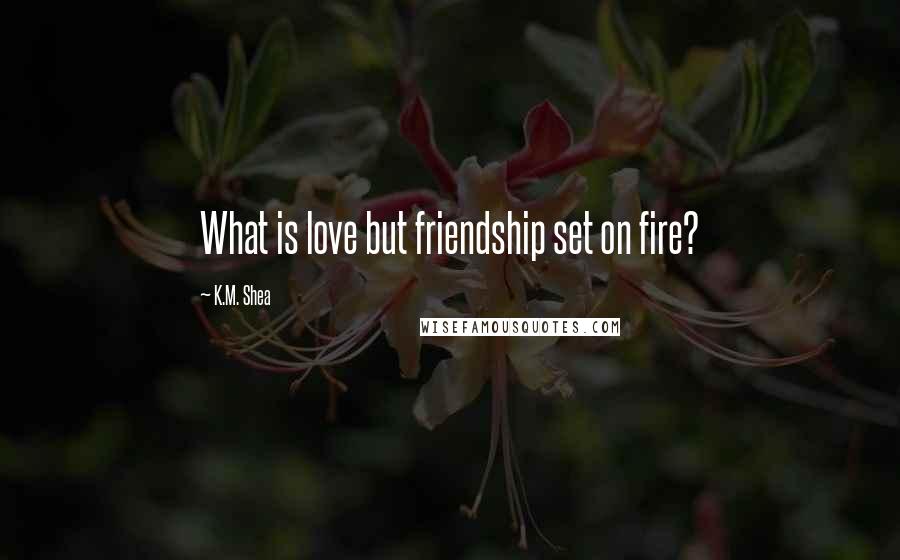 K.M. Shea Quotes: What is love but friendship set on fire?
