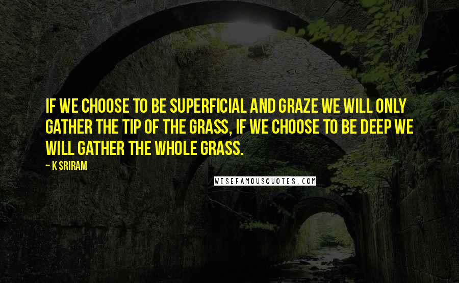 K SRIRAM Quotes: If we choose to be superficial and graze we will only gather the tip of the grass, if we choose to be deep we will gather the whole grass.