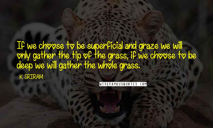 K SRIRAM Quotes: If we choose to be superficial and graze we will only gather the tip of the grass, if we choose to be deep we will gather the whole grass.