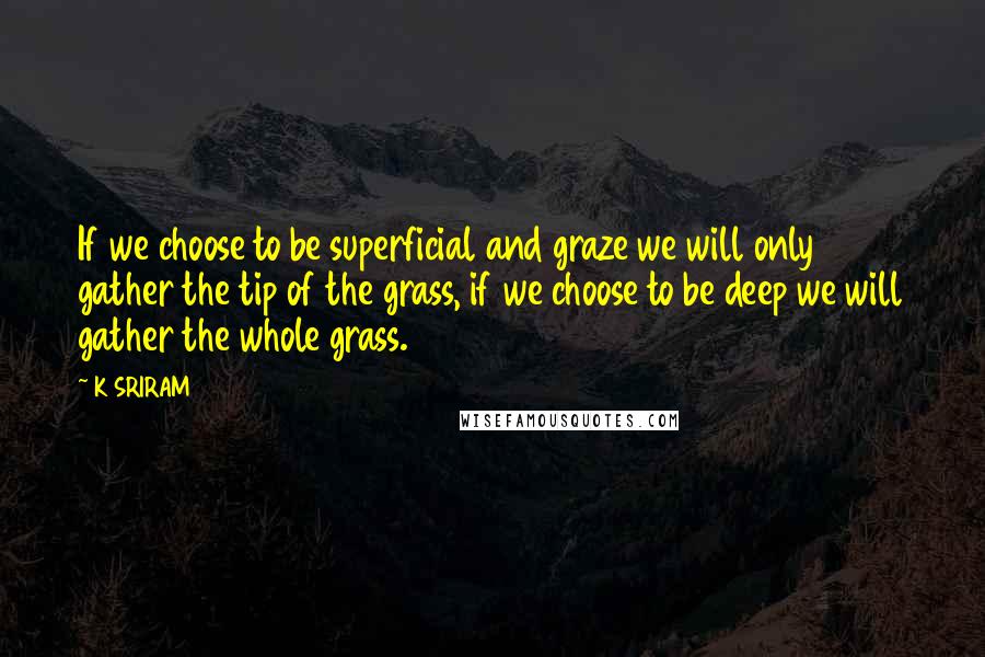 K SRIRAM Quotes: If we choose to be superficial and graze we will only gather the tip of the grass, if we choose to be deep we will gather the whole grass.
