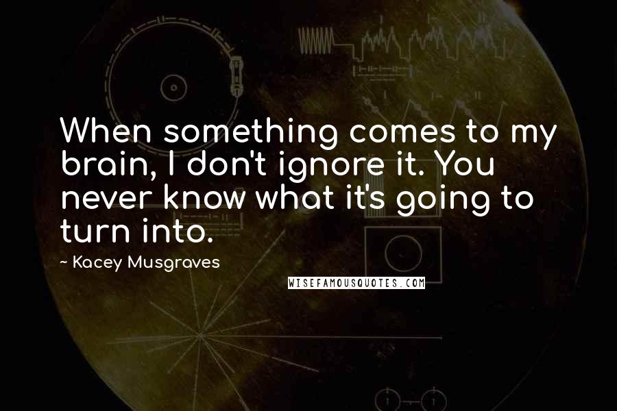 Kacey Musgraves Quotes: When something comes to my brain, I don't ignore it. You never know what it's going to turn into.