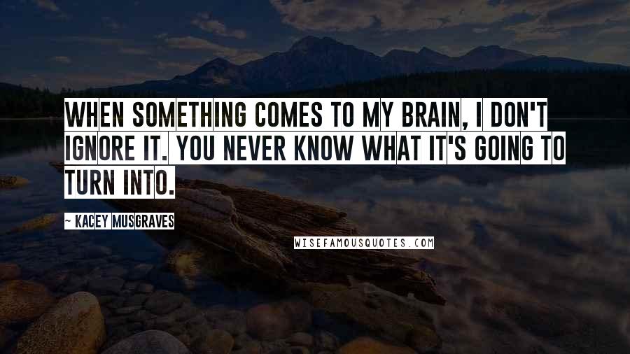 Kacey Musgraves Quotes: When something comes to my brain, I don't ignore it. You never know what it's going to turn into.