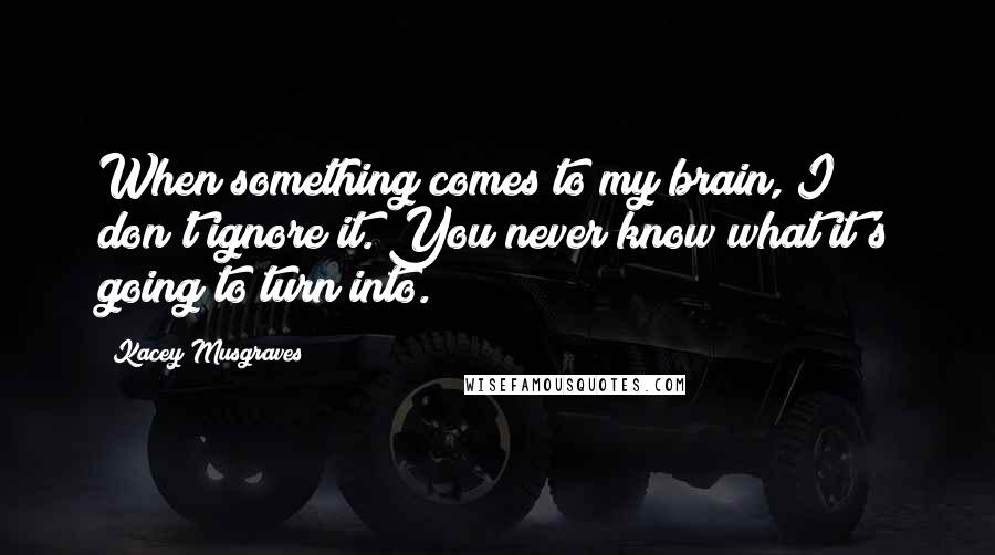 Kacey Musgraves Quotes: When something comes to my brain, I don't ignore it. You never know what it's going to turn into.