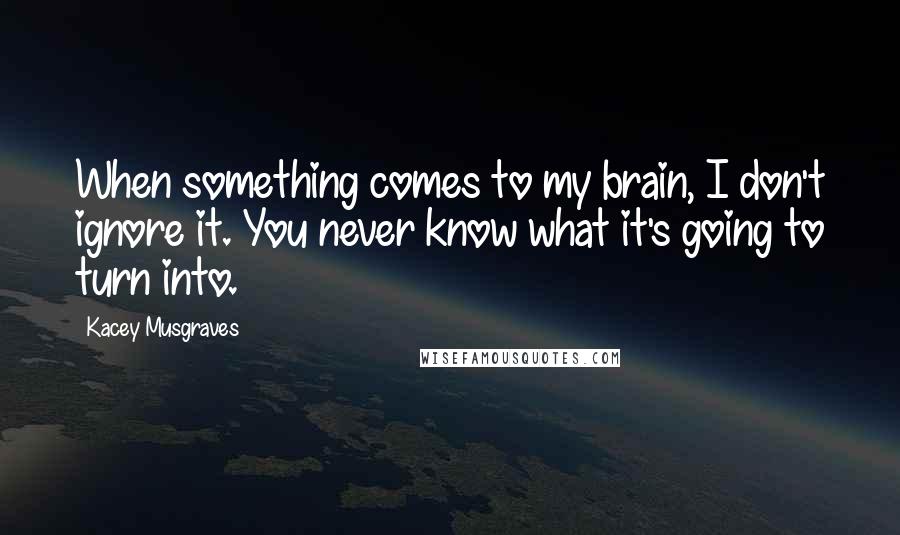 Kacey Musgraves Quotes: When something comes to my brain, I don't ignore it. You never know what it's going to turn into.