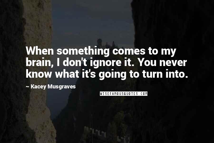 Kacey Musgraves Quotes: When something comes to my brain, I don't ignore it. You never know what it's going to turn into.