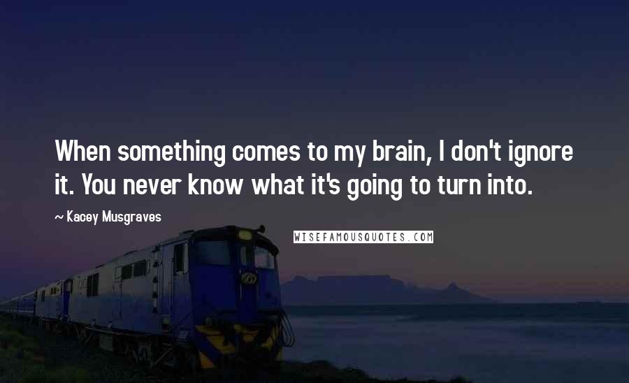 Kacey Musgraves Quotes: When something comes to my brain, I don't ignore it. You never know what it's going to turn into.