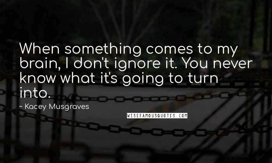 Kacey Musgraves Quotes: When something comes to my brain, I don't ignore it. You never know what it's going to turn into.