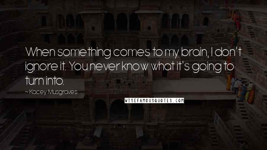 Kacey Musgraves Quotes: When something comes to my brain, I don't ignore it. You never know what it's going to turn into.