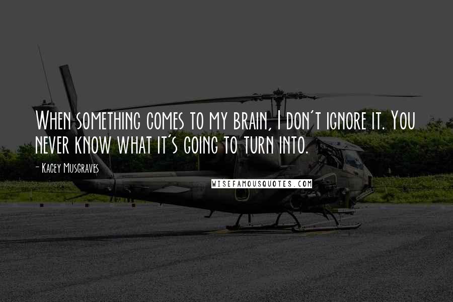 Kacey Musgraves Quotes: When something comes to my brain, I don't ignore it. You never know what it's going to turn into.