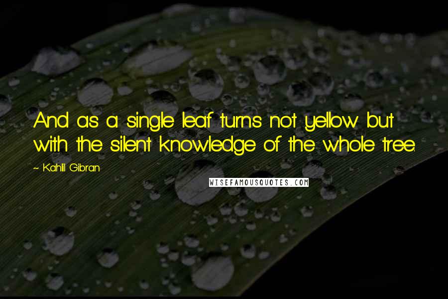 Kahlil Gibran Quotes: And as a single leaf turns not yellow but with the silent knowledge of the whole tree.