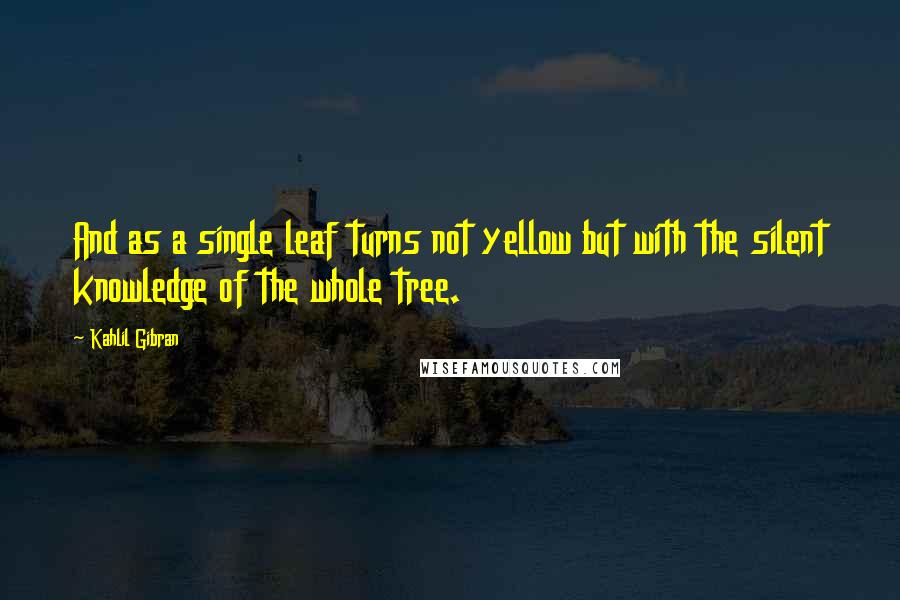 Kahlil Gibran Quotes: And as a single leaf turns not yellow but with the silent knowledge of the whole tree.