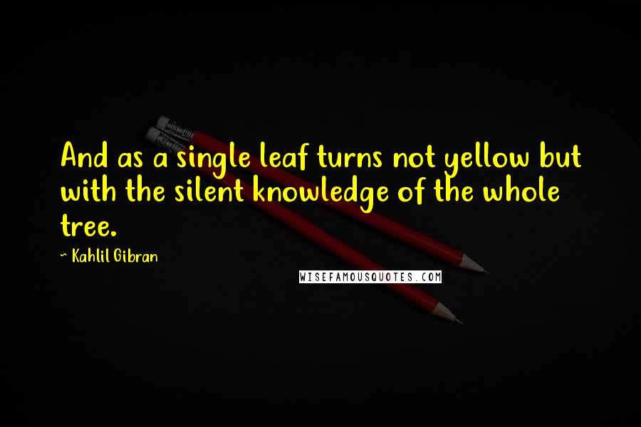 Kahlil Gibran Quotes: And as a single leaf turns not yellow but with the silent knowledge of the whole tree.