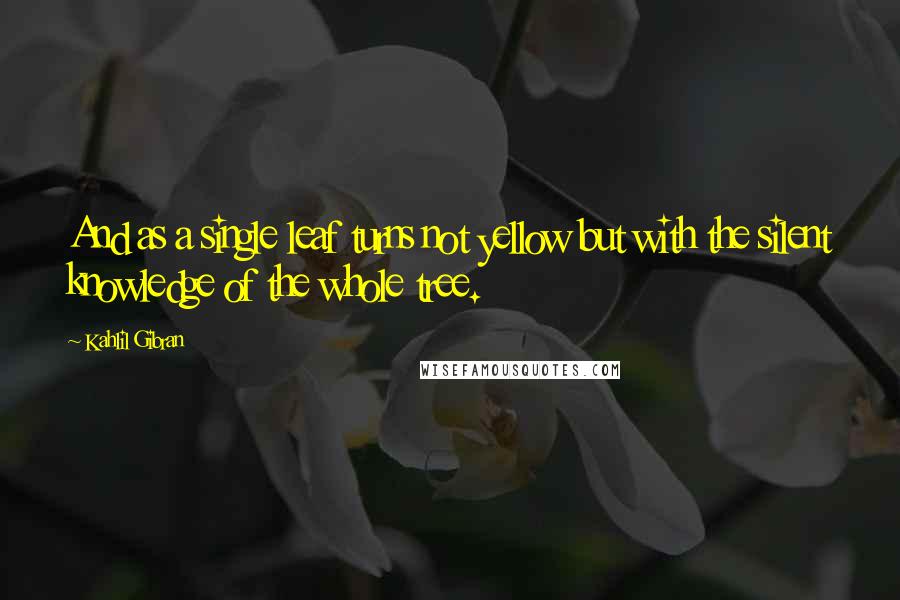 Kahlil Gibran Quotes: And as a single leaf turns not yellow but with the silent knowledge of the whole tree.