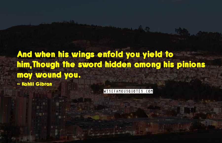 Kahlil Gibran Quotes: And when his wings enfold you yield to him,Though the sword hidden among his pinions may wound you.