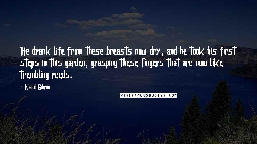 Kahlil Gibran Quotes: He drank life from these breasts now dry, and he took his first steps in this garden, grasping these fingers that are now like trembling reeds.