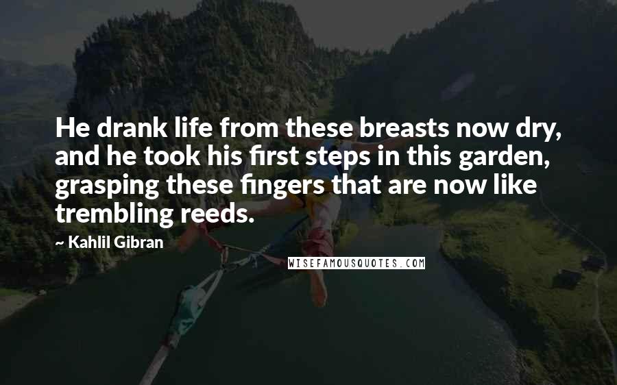 Kahlil Gibran Quotes: He drank life from these breasts now dry, and he took his first steps in this garden, grasping these fingers that are now like trembling reeds.