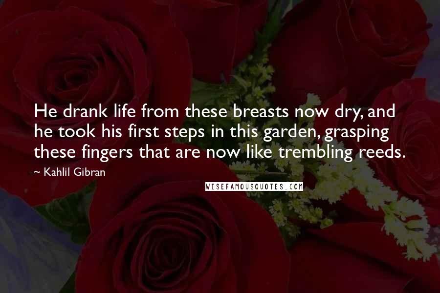 Kahlil Gibran Quotes: He drank life from these breasts now dry, and he took his first steps in this garden, grasping these fingers that are now like trembling reeds.