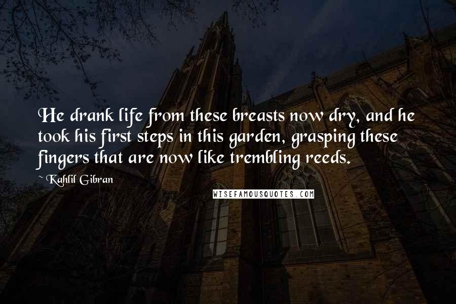 Kahlil Gibran Quotes: He drank life from these breasts now dry, and he took his first steps in this garden, grasping these fingers that are now like trembling reeds.
