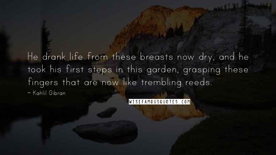 Kahlil Gibran Quotes: He drank life from these breasts now dry, and he took his first steps in this garden, grasping these fingers that are now like trembling reeds.