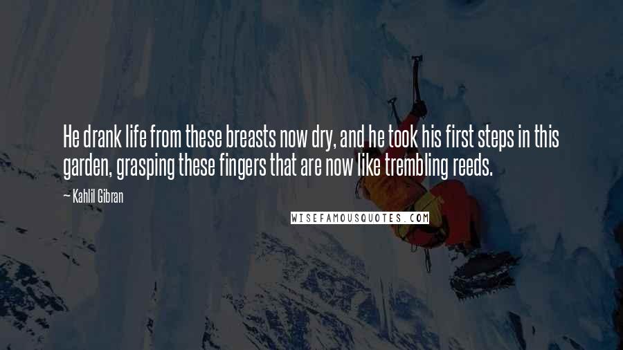 Kahlil Gibran Quotes: He drank life from these breasts now dry, and he took his first steps in this garden, grasping these fingers that are now like trembling reeds.