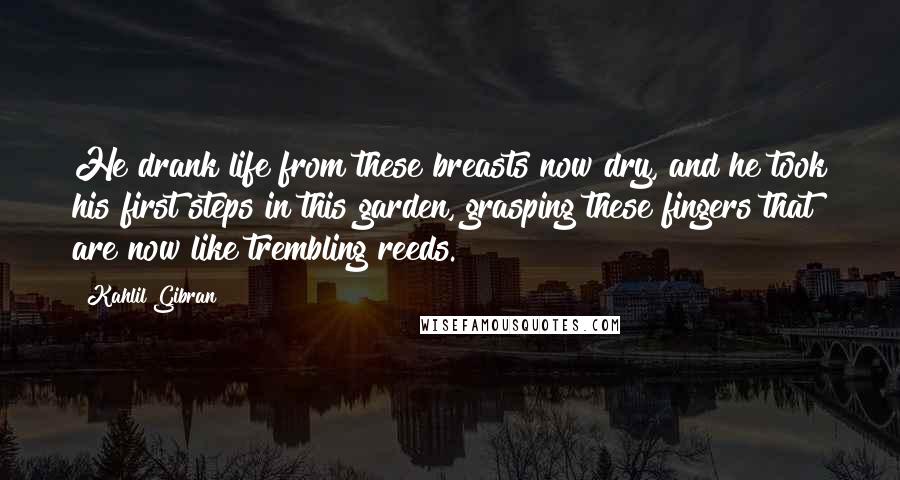Kahlil Gibran Quotes: He drank life from these breasts now dry, and he took his first steps in this garden, grasping these fingers that are now like trembling reeds.
