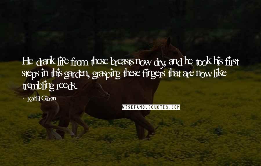 Kahlil Gibran Quotes: He drank life from these breasts now dry, and he took his first steps in this garden, grasping these fingers that are now like trembling reeds.