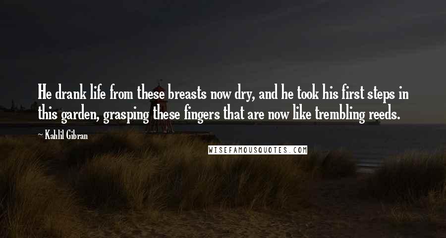 Kahlil Gibran Quotes: He drank life from these breasts now dry, and he took his first steps in this garden, grasping these fingers that are now like trembling reeds.