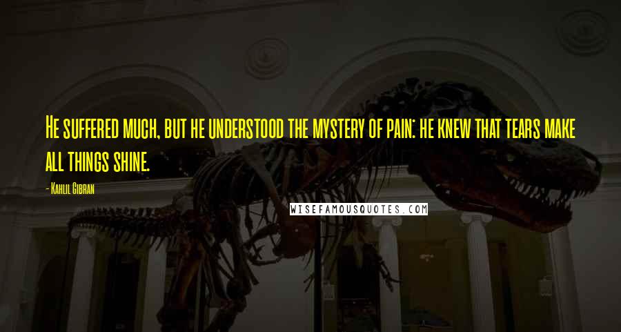 Kahlil Gibran Quotes: He suffered much, but he understood the mystery of pain: he knew that tears make all things shine.