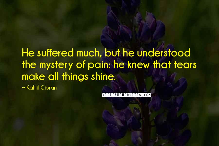 Kahlil Gibran Quotes: He suffered much, but he understood the mystery of pain: he knew that tears make all things shine.