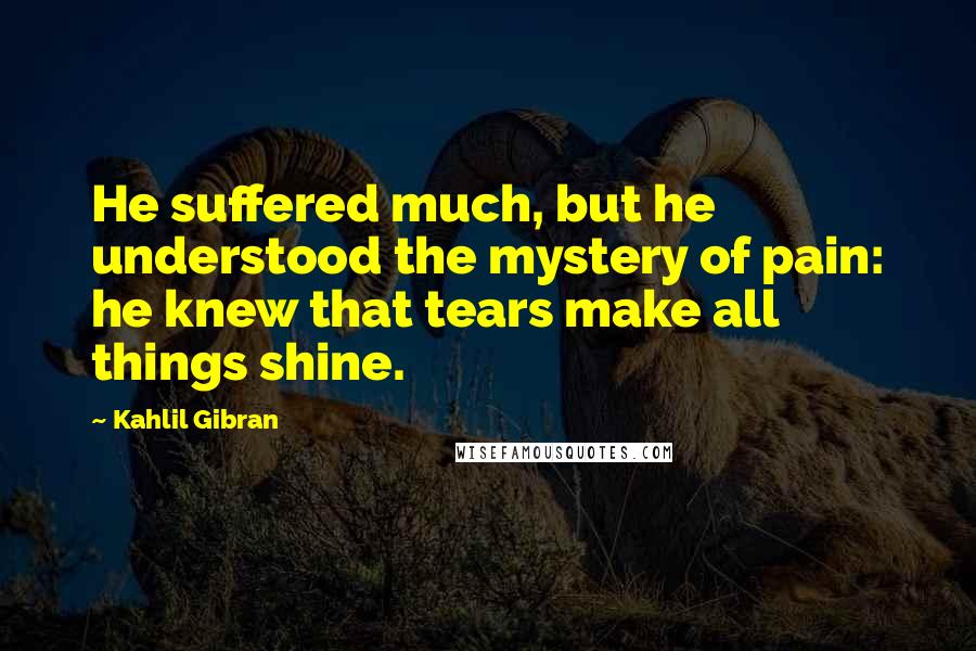 Kahlil Gibran Quotes: He suffered much, but he understood the mystery of pain: he knew that tears make all things shine.