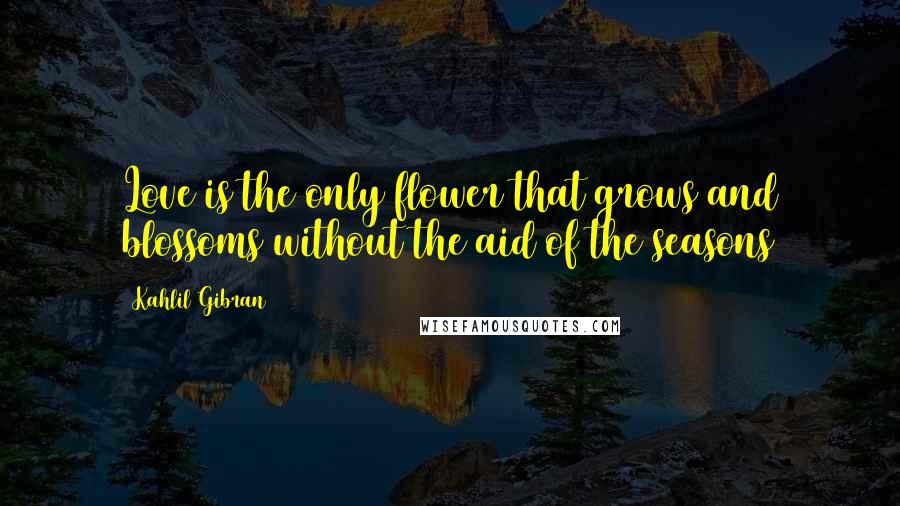 Kahlil Gibran Quotes: Love is the only flower that grows and blossoms without the aid of the seasons