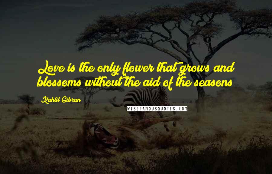 Kahlil Gibran Quotes: Love is the only flower that grows and blossoms without the aid of the seasons