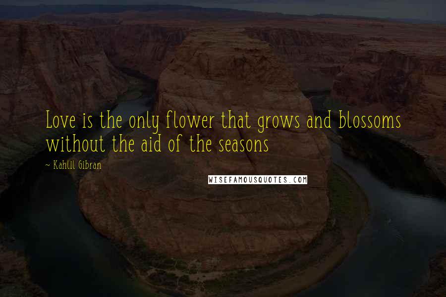 Kahlil Gibran Quotes: Love is the only flower that grows and blossoms without the aid of the seasons