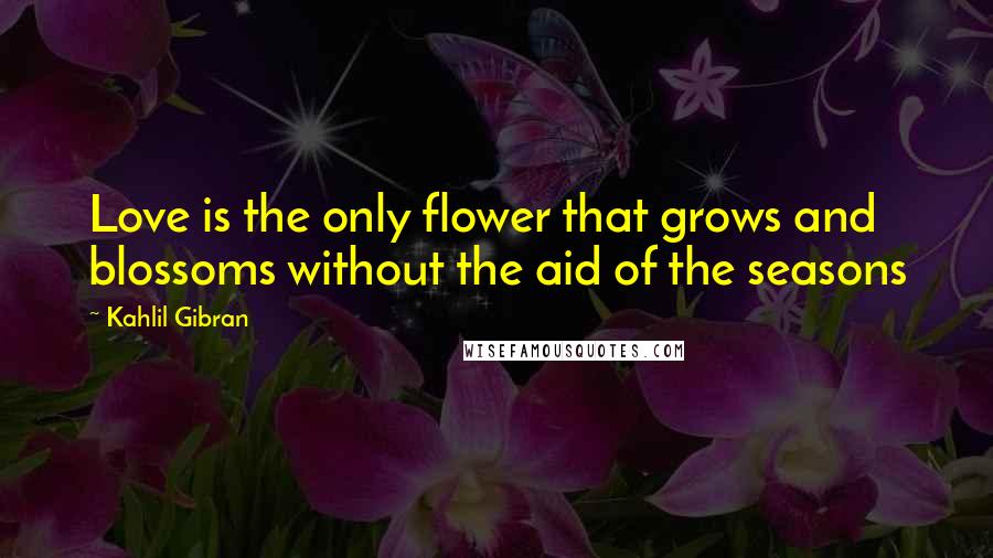 Kahlil Gibran Quotes: Love is the only flower that grows and blossoms without the aid of the seasons