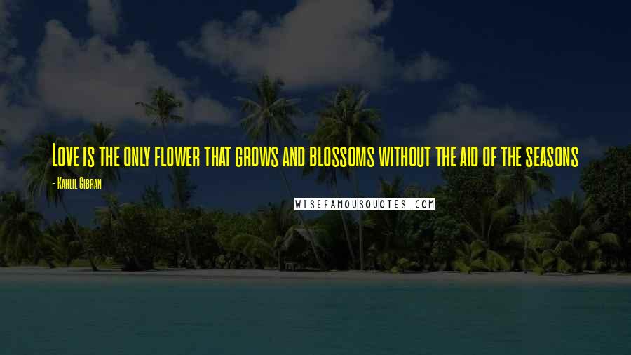 Kahlil Gibran Quotes: Love is the only flower that grows and blossoms without the aid of the seasons