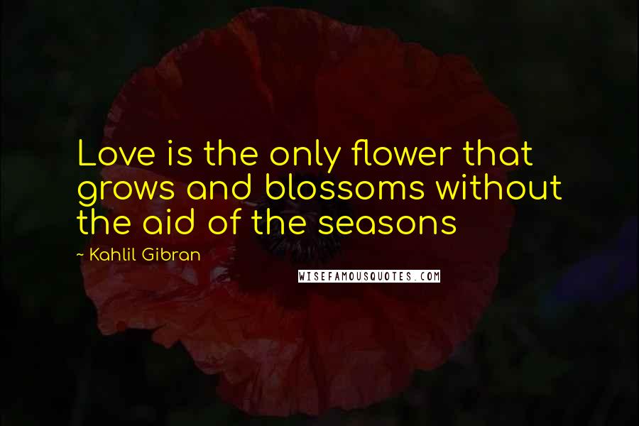 Kahlil Gibran Quotes: Love is the only flower that grows and blossoms without the aid of the seasons