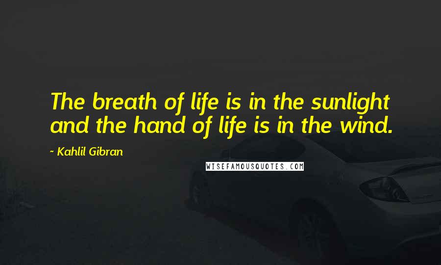 Kahlil Gibran Quotes: The breath of life is in the sunlight and the hand of life is in the wind.